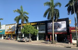 showroom gỗ óc chó